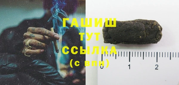 гашик Осинники