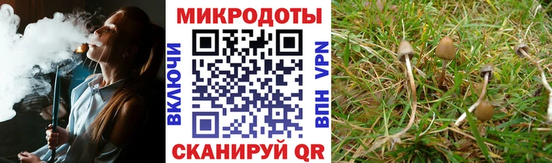 где купить   Кольчугино  гидра ССЫЛКА  Галлюциногенные грибы Psilocybe 