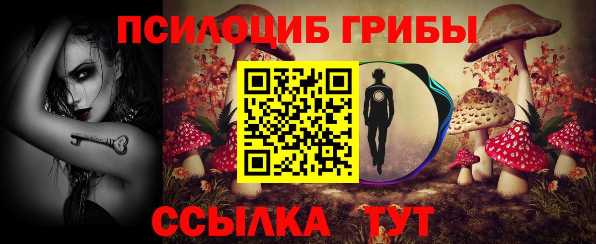 Кольчугино  Галлюциногенные грибы прущие грибы  Вход с VPN 