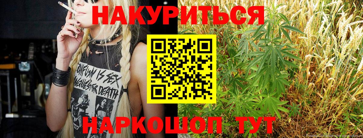 Бошки марихуана VHQ Кольчугино