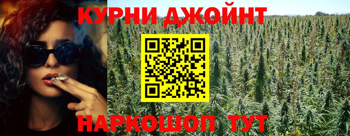 Шишки марихуана конопля Кольчугино